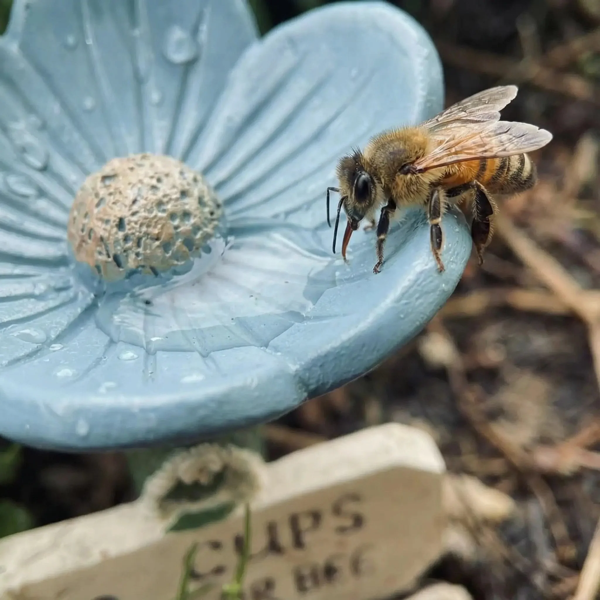 ⏳Limited-time 50% off🐝Flower-Shaped Bee Watering Station💧 - Image 8